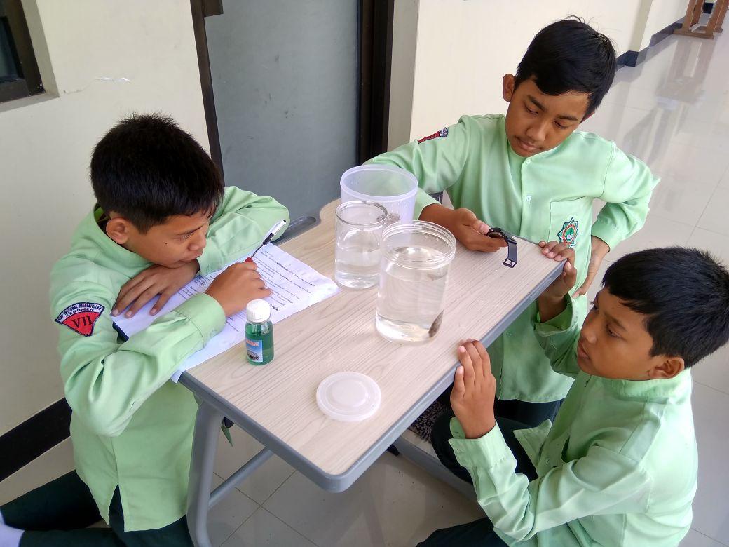 PENGAMATAN IKAN